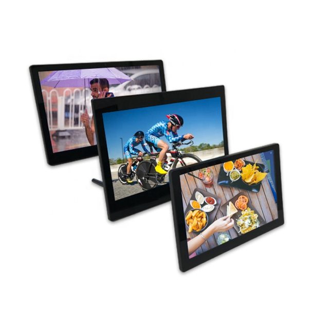 Digital Picture Frame (4)