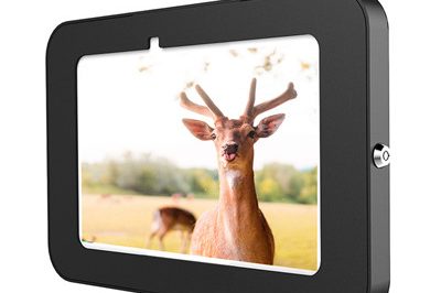 Digital Picture Frame (400